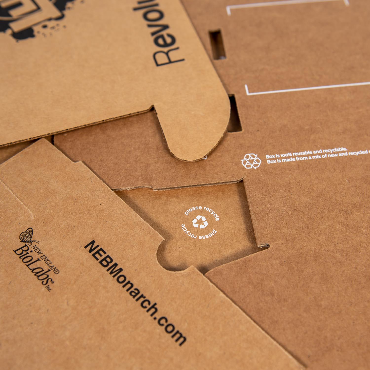 DTC mailers with peel and seal adhesive strips Salazar Packaging