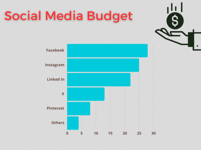 social media budget