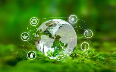 How to Ship a Less Expensive, Greener Box to Your Customers