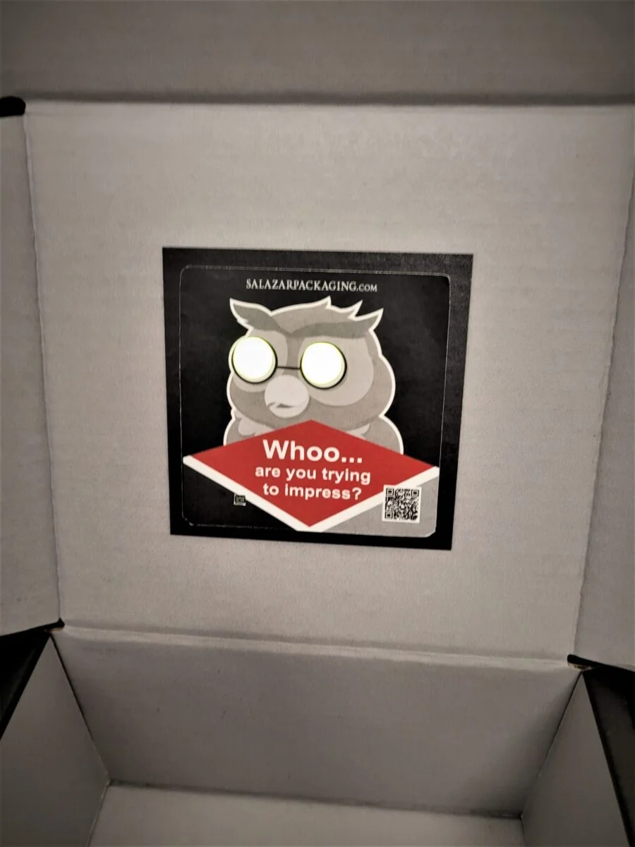 owl5-scaled-e1748018915680