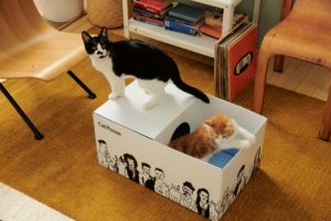 Some cats have all the fun - shipping box turned playhouse by Salazar Packaging