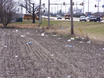 Photo of a suburban cornfield strewn with litter, mainly plastic bags.